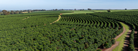 Food & Agri Business