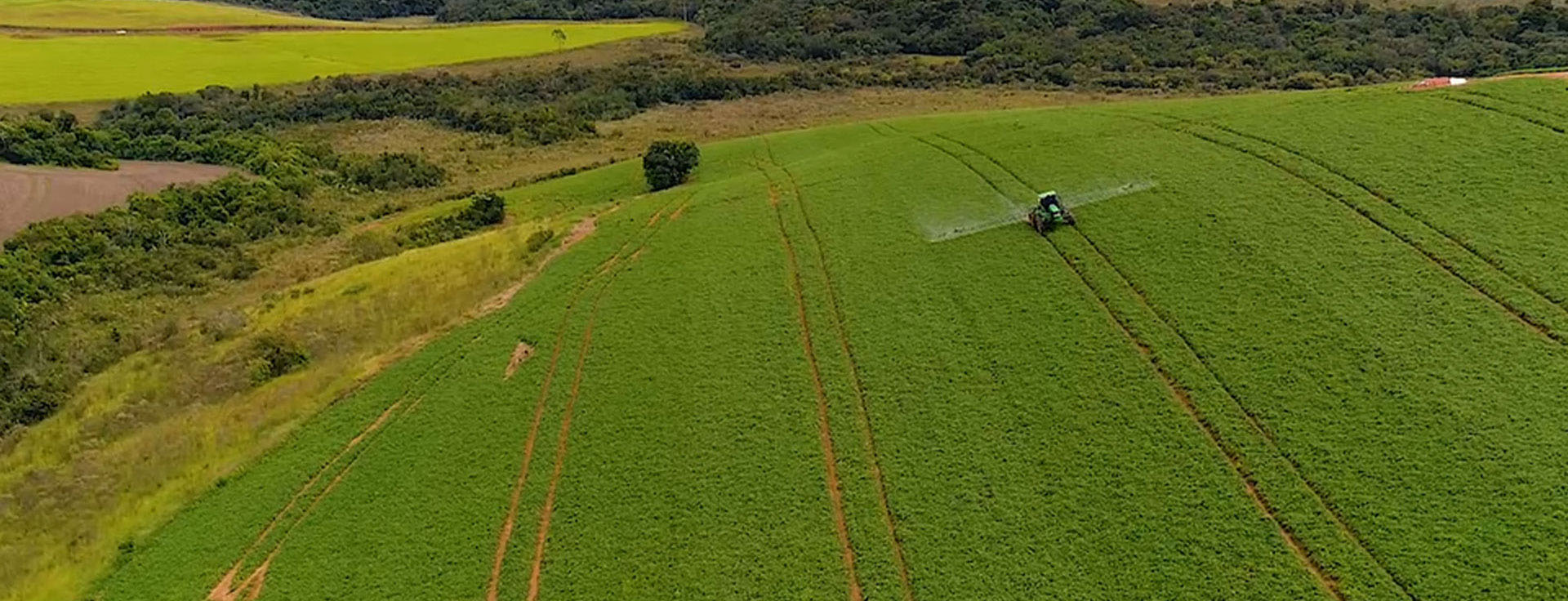 Negocio de insumos agrícolas