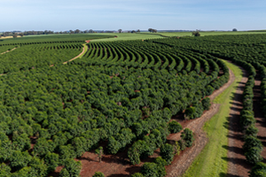 Alimentos e Agronegócios