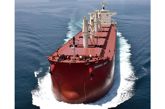 The Federal Ibuki: a bulk carrier co-owned with overseas owners (63,000 ton capacity)