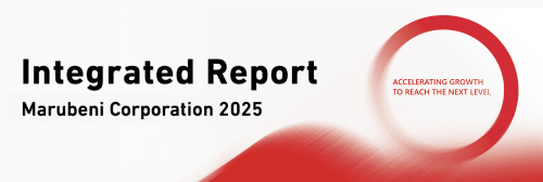 Integrated Report 2025