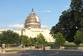 #14|Republican Party in Disarray a Year before the Presidential Election