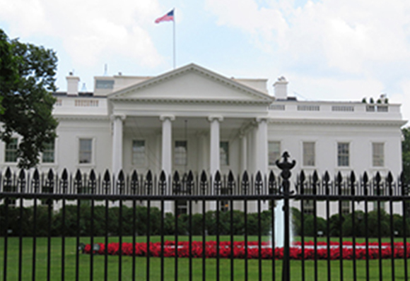 #21|Bleak Prospects for the Trump Regime are Unavoidable
