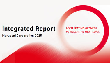 Integrated Report 2025