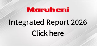 Integrated Report