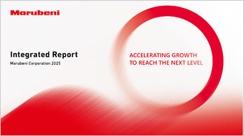 Integrated Report 2025