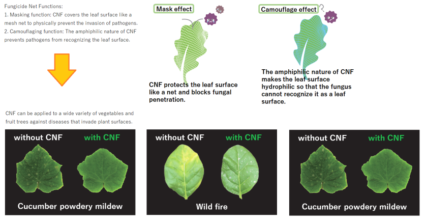 Fungicide Net Functions