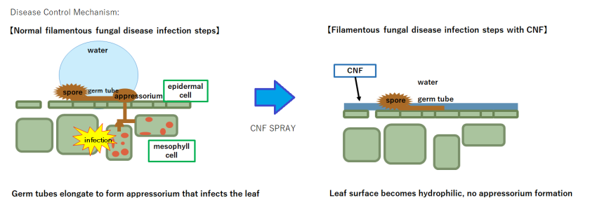 Disease Control Mechanism