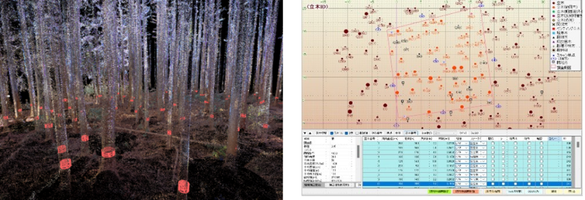 Measurement data obtained with the OWL system and its Analysis