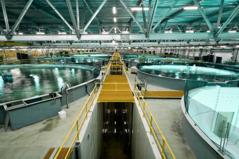 Inside the Post-Smolt Grow-out Building