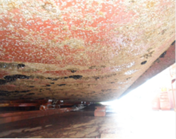 Ship bottom after approximately 30 months at sea with conventional antifouling paint
