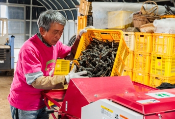 Purchase of a threshing machine for Mucuna beans (FY2025 grant recipient: NPO Sukusuku Beans)