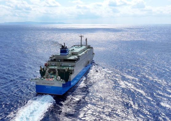 A boat tour offered by OTS