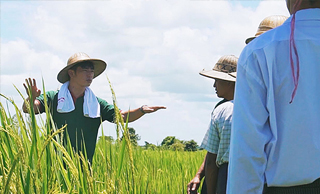 #15｜Marubeni Myanmar Fertilizer ミャンマーの大地に力を
