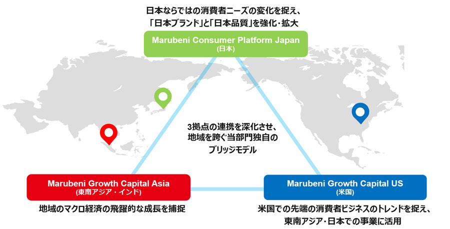 ブリッジモデル