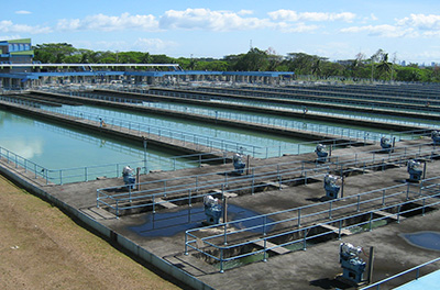 フィリピン/Maynilad Water Services社（上下水道事業）
