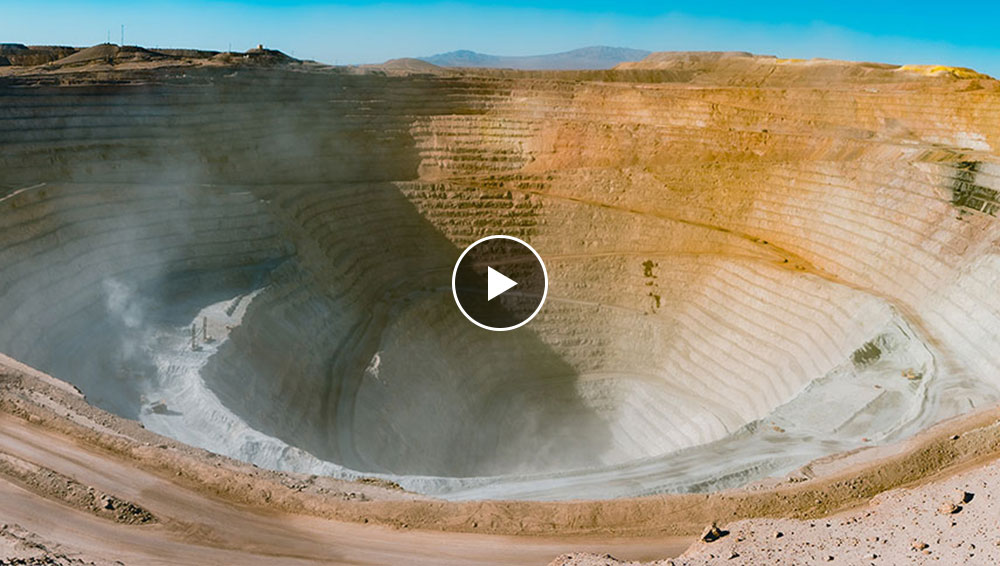 丸山植樹 断糖 丸山植樹 断糖