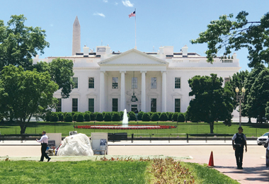 トランプ氏のツイートは追う必要はないと心得よう