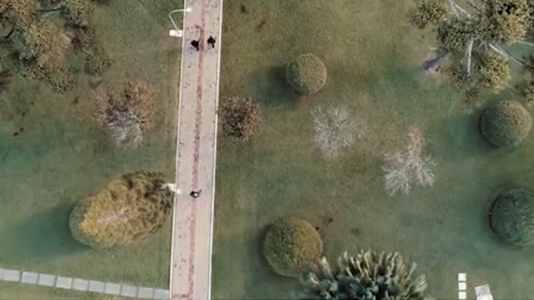 Cia. Iguacu de Cafe Soluvel　会社紹介