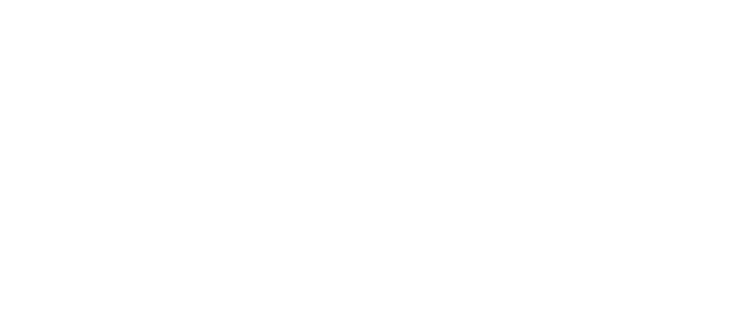 分析 世界の力学